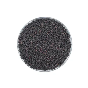 Bulk-black-pepper-premium-black-pepper-by-ispice-top-spices-exporter-wholesale-supplier