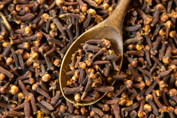 Malabar-cloves-iSpice-Top-Indian-spices-exporter-bulk-wholeasale-supplier